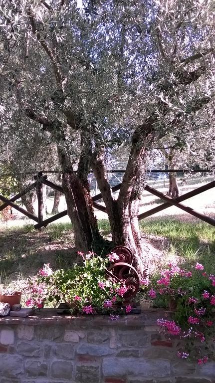Agriturismo La Cantina San Martino Assisi Eksteriør billede